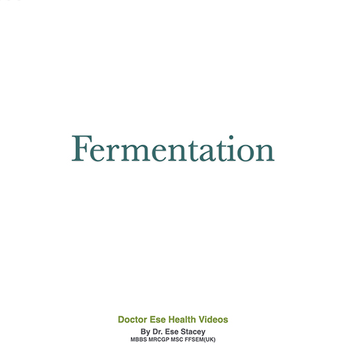 Fermentation Fermentation