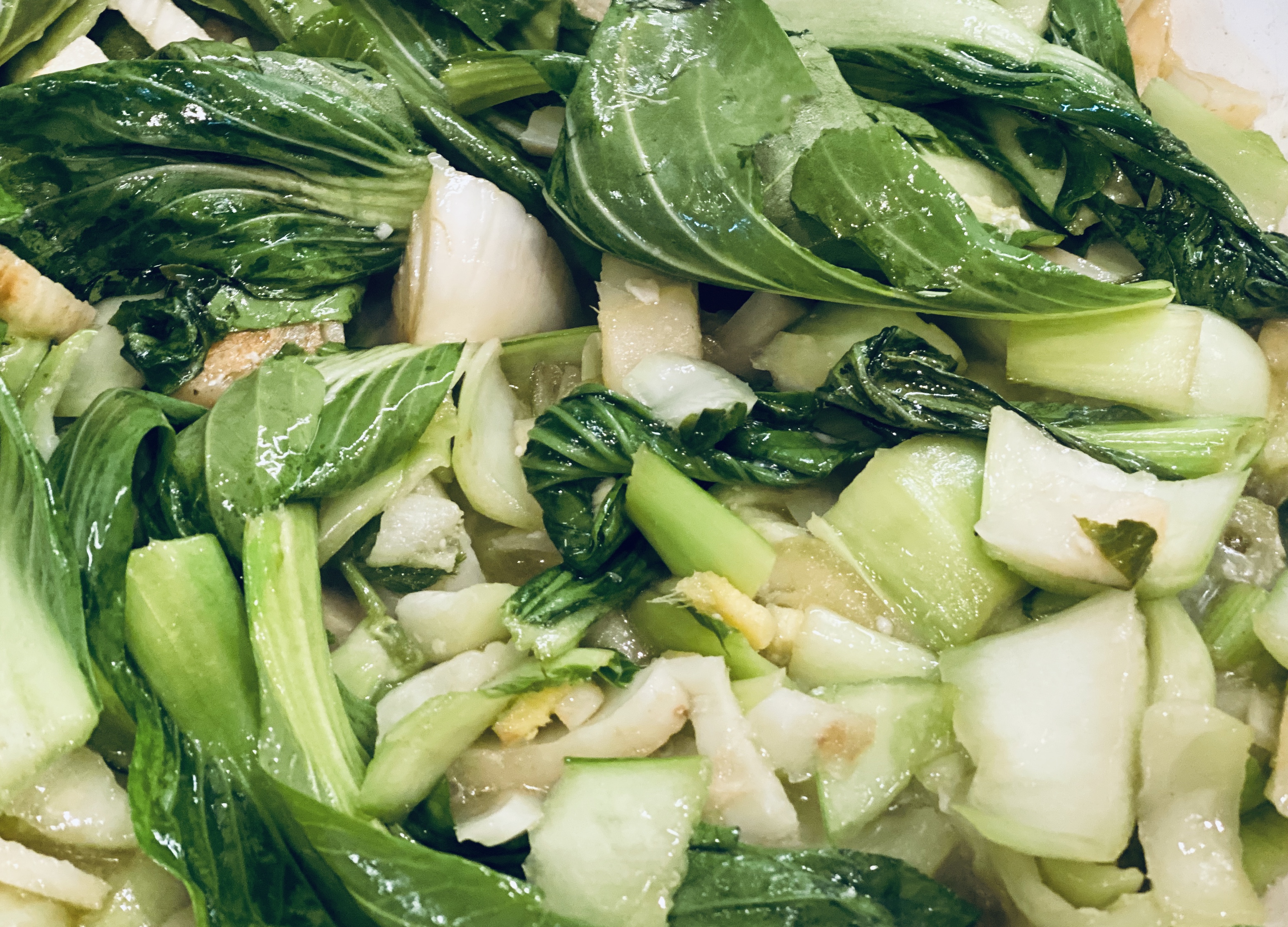 Pre-fermented fennel, pok choi and ginger stir fry Pre-fermented fennel, pok choi and ginger stir fry