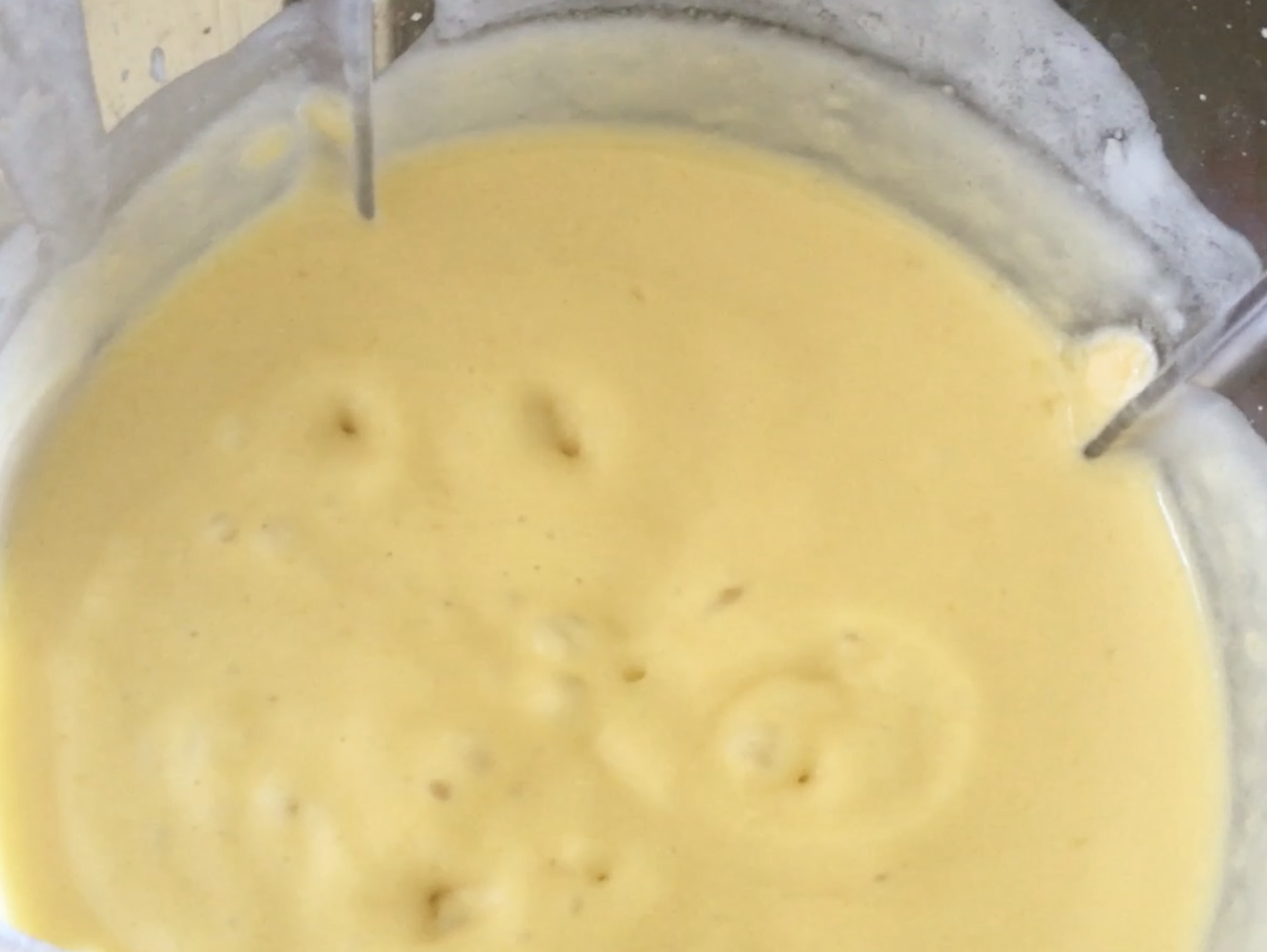 Fermented Mango Mousse Fermented Mango Mousse