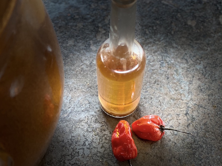 Scotch Bonnet Ferment Scotch Bonnet Ferment