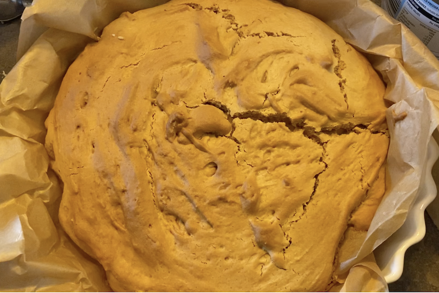 SCOBY cake SCOBY cake