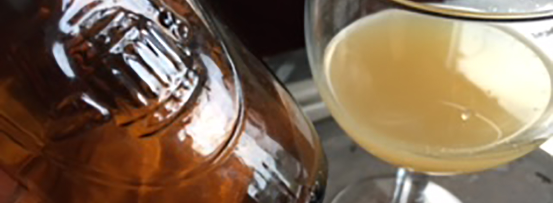 Kombucha Kombucha
